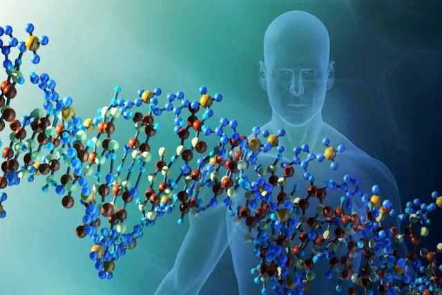 Consecuencias de la Ansiedad y Cómo los Suplementos Pueden Ayudar