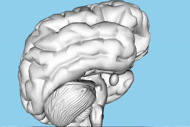 Consecuencias de la Ansiedad y Cómo los Suplementos Pueden Ayudar